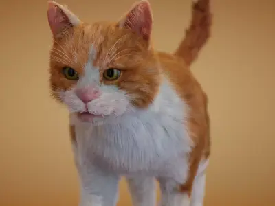 Realistic orange and white cat 3D model