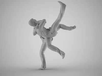 Judo Championships 3D print model