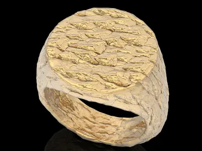 Rock ring   gold jewelry 3D printable model 3D print model