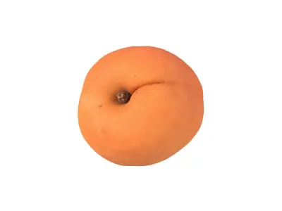 Photorealistic Apricot 3D Scan 2 3D model