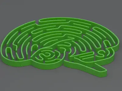 Green brain maze 3D model