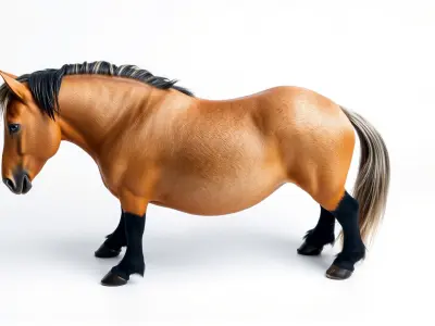 Buckskin Morgan Horse with Tan Coat and Black Points Low-poly 3D model