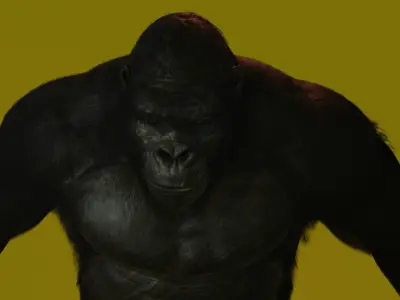 Super Realistic Monkey Kong For Movies or Games Low-poly 3D model