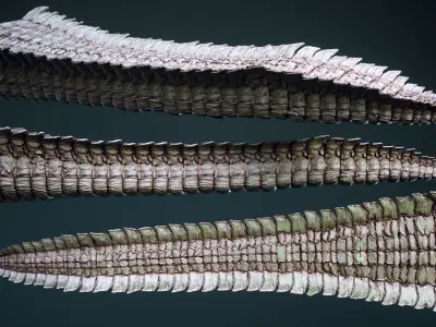 TAILS - 33 Tail Meshes and Curve Brushes 3D model