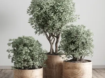 collection Indoor plant 42-wood vase 3D model