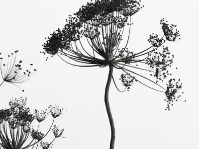 Bouquet Set 01 Vase Glass Dry Hogweed 3D model