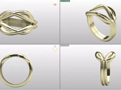 Elegant Intertwined Knot Ring File Item 71 3D print model