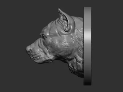 Pitbull gloomy head 3D print model