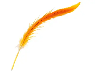 Orange Feather model pack Low-poly 3D model