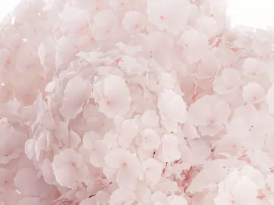 Realistic Bouquet Glass Vase Pink Hydrangea 645 3D model