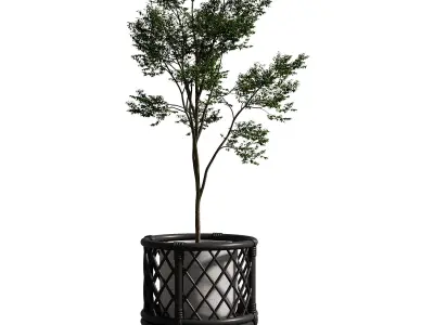 Kathyscove Jamies Diamond Black Planter - Medium 3D model