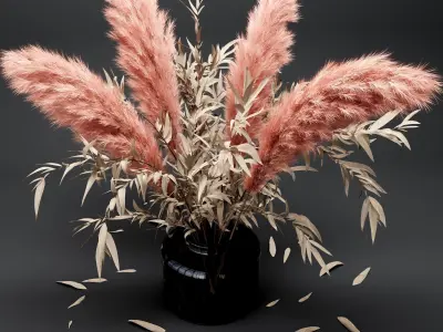  Bouquet dry pampas and Eucalyptus 3D model