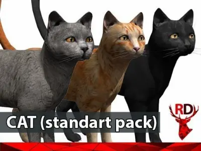 Cat pack 1 Low-poly 3D model