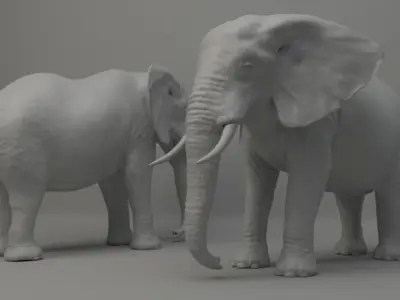 Elephant Base Mesh 3D model