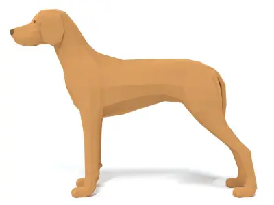 Low Poly Cartoon Hungarian Vizsla Dog Low-poly 3D model