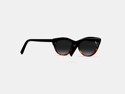 Tilley Sunglasses in Sugar Maple Fade 3D model