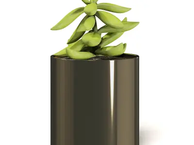 Plant 3D Model in Metal Pot 3D model purchase