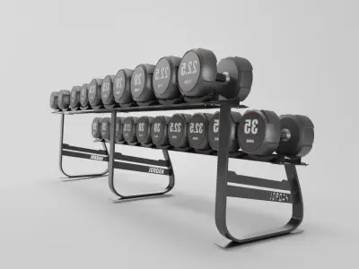 Fitness Dumbbell Rack 3D model