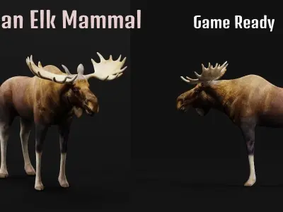 Eurasian Elk Moose Mammal Low-poly 3D model