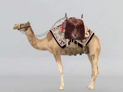 Camel 3D model