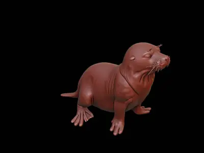 Seal Animal Sculpture 3D print model purchase