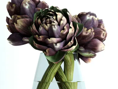 Burgundy Artichokes Set 3D model