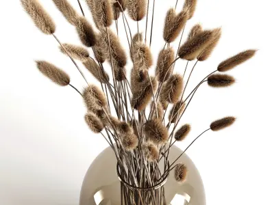 A bouquet of lagurus 3D model