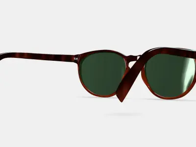 Biren Sunglasses in Cognac Tortoise Fade 3D model