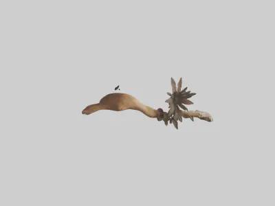 Organic Wall Decor Low-poly 3D model