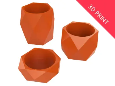 Vase for Plant 06 with 3 Different Sizes 3D print model