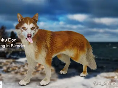 Fur Red Wolf Rigged in Blender Low-poly 3D model