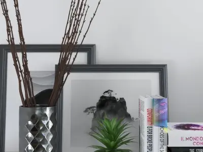 set206 shelf with frames and plants 3D model