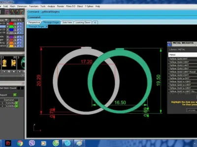 Luxury Dragon Phoenix Couple Rings for Lovers 346 3D print model