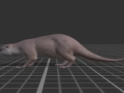Otter Low-poly 3D model