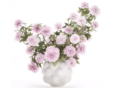 Beautiful pink Formal Bouquet Peony Vase Decor 3D model