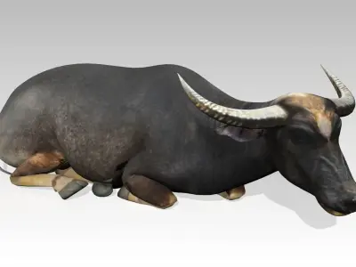 Water Buffalo Animated Low-poly 3D model
