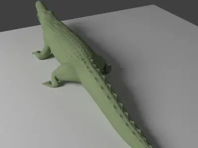 Crocodile simple lowpoly 3D model