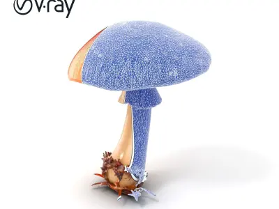 Chanterelle Mushroom Realistic Model Pack Low-poly 3D model