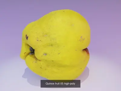 Collection of quince fruits high-poly 3D model