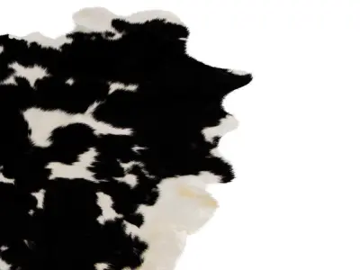 Four rugs from animal skins 01 3D model