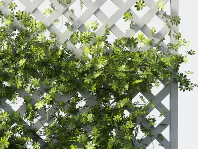 Outdoor garden plant set 159 - Ivy on Fence  Low-poly 3D model