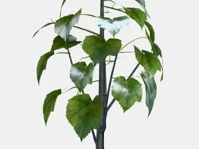 FEJKA Artificial potted plant 1 Low-poly 3D model
