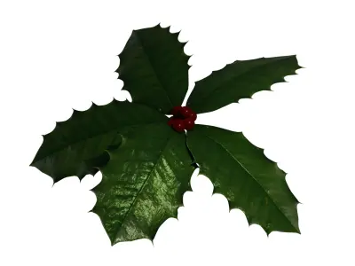 Holly Free low-poly 3D model