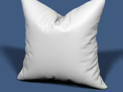 Pillow 57 3D model