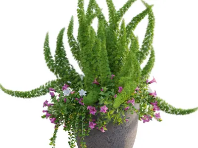 Pot plant 01 3D model