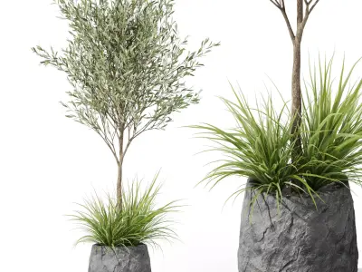 Plants collection vol 37