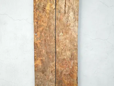 Old Dogon Crocodile Grain Door 3D model