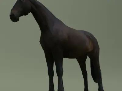 LowPoly Horse E Dark Bay Low-poly 3D model