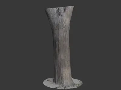 Tree Trunk 3D Scan Low-poly 3D model