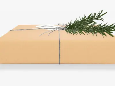 Wrapped Christmas gift 05 3D model